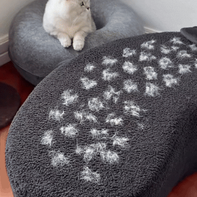 Blomie - Łapka do sierści